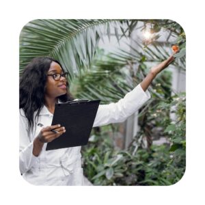 USA Arborists Email List Database